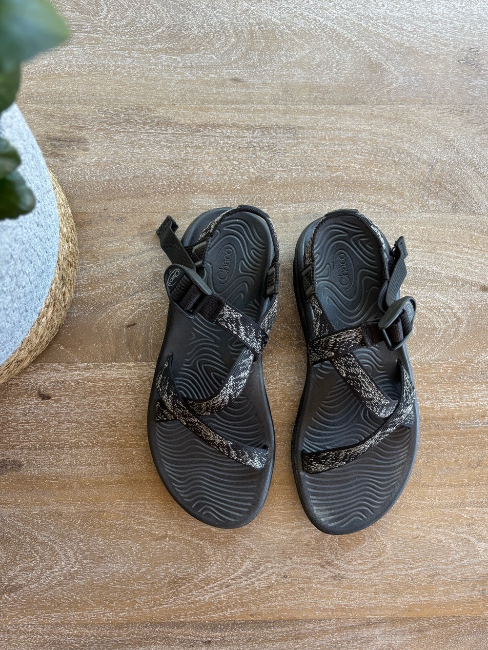 Chaco Women's Sandals in Black with Speckled Straps